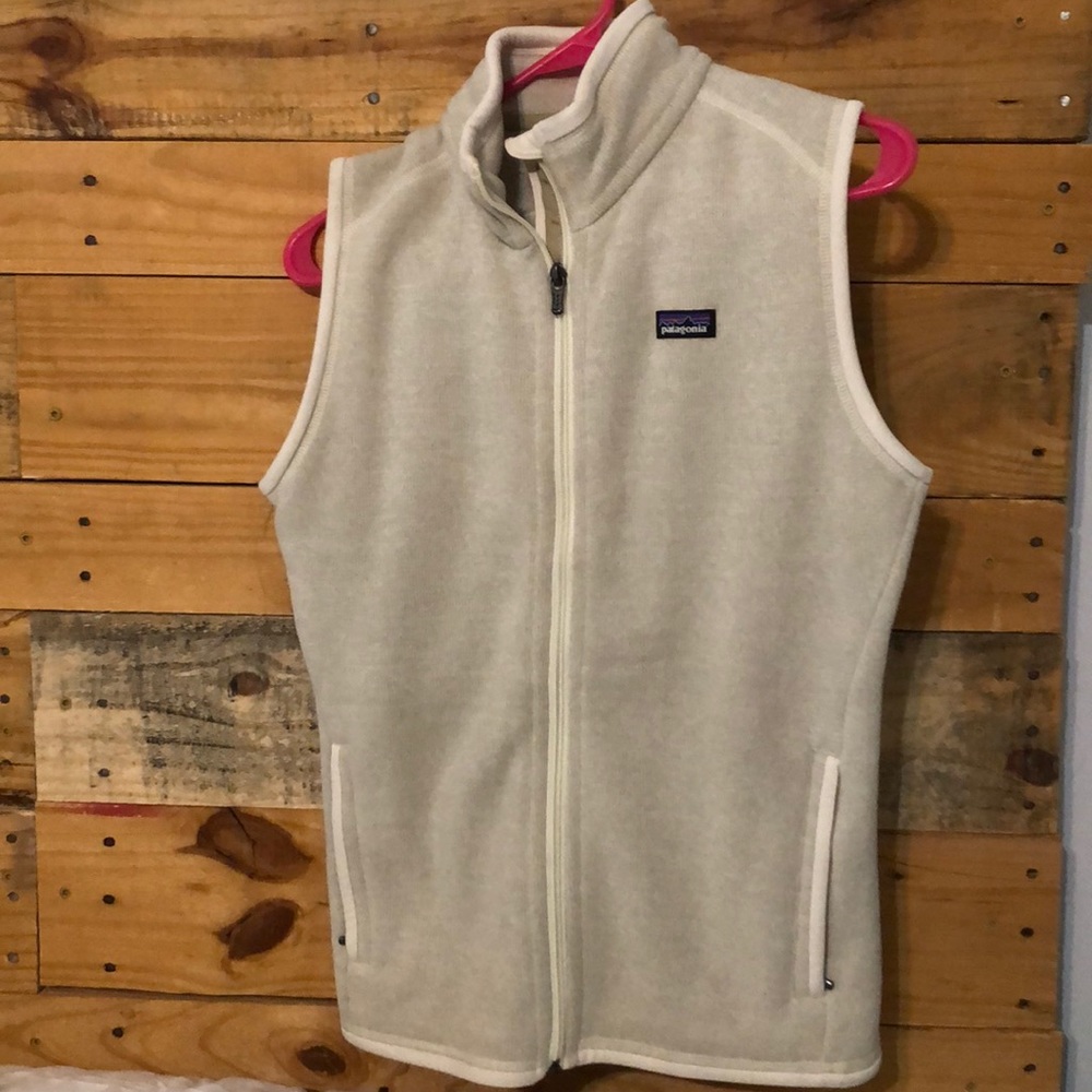 Patagonia vest /better sweater